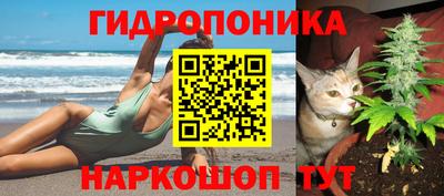 PSILOCYBIN Конаково