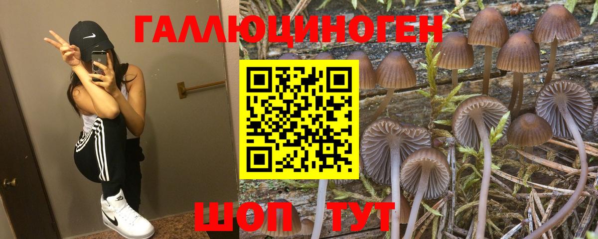 Шадринск  Галлюциногенные грибы прущие грибы  где купить   Вход с VPN 